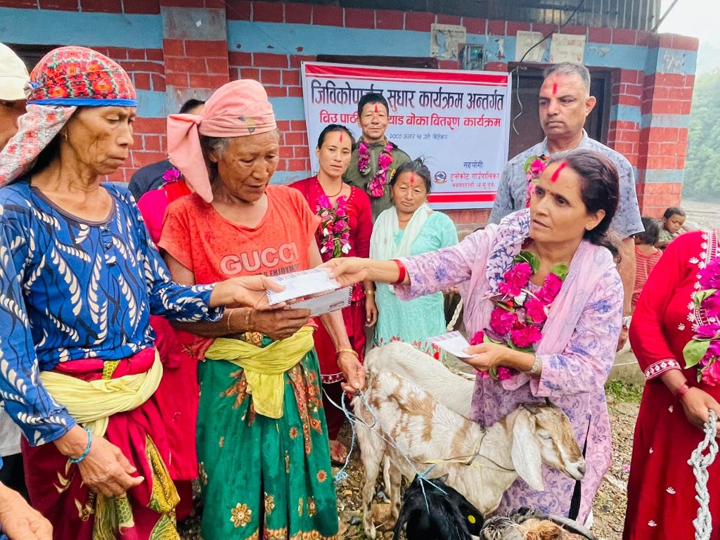 जिविकाेपार्जन सुधार कार्यक्रम अन्तर्गत मिहलाहरूलाई खसी, बाेका र विउ पाठी  हस्तान्तरण गर्दै हुप्सेकोट गाउँपालिका अध्यक्ष लक्ष्मीदेवी पाण्डे । 